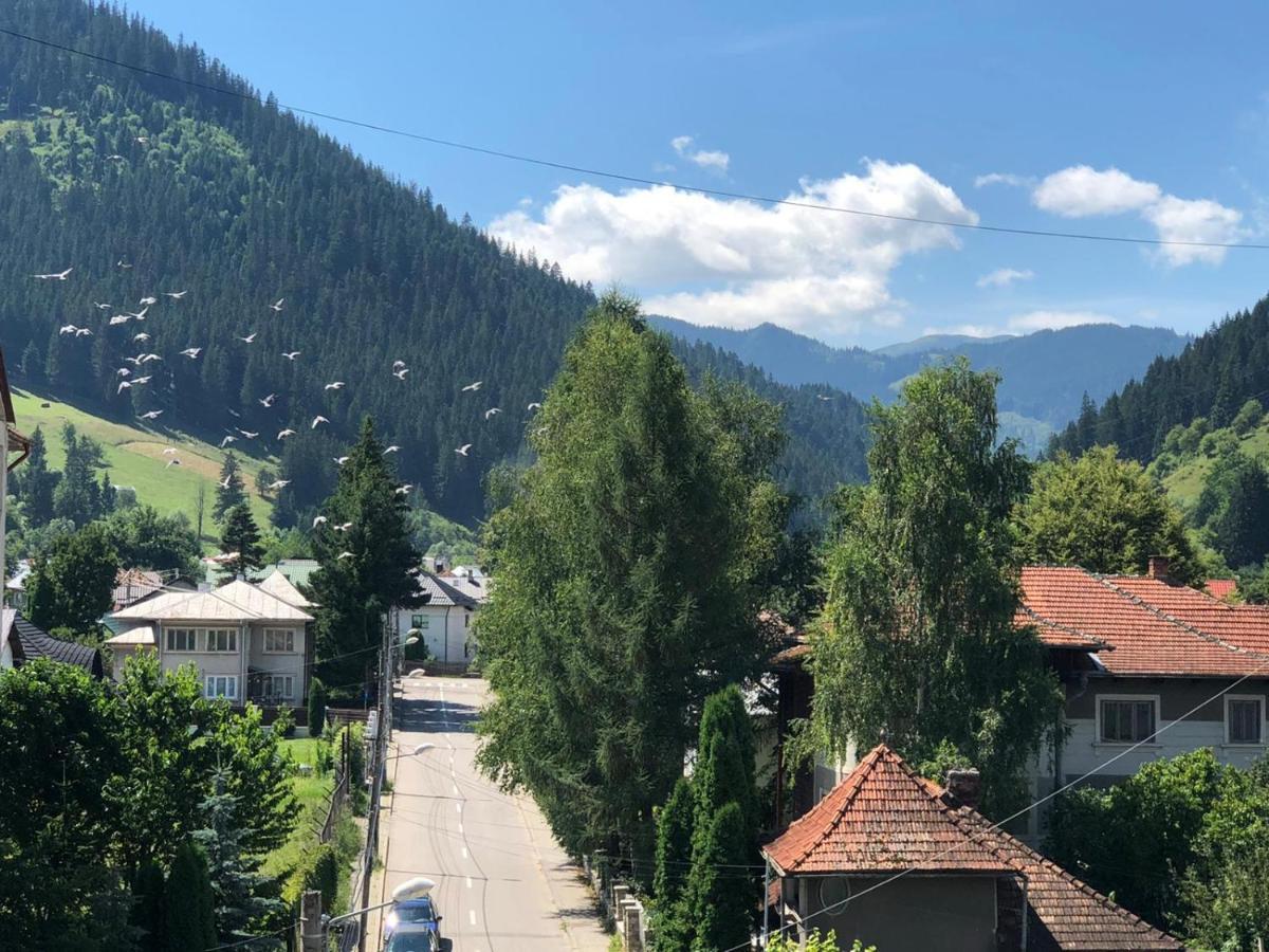 Bucovina View Apartment Câmpulung Moldovenesc Exteriér fotografie